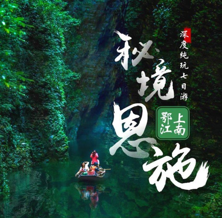 发财树的养殖方法和注意事项分别是？游戏画面